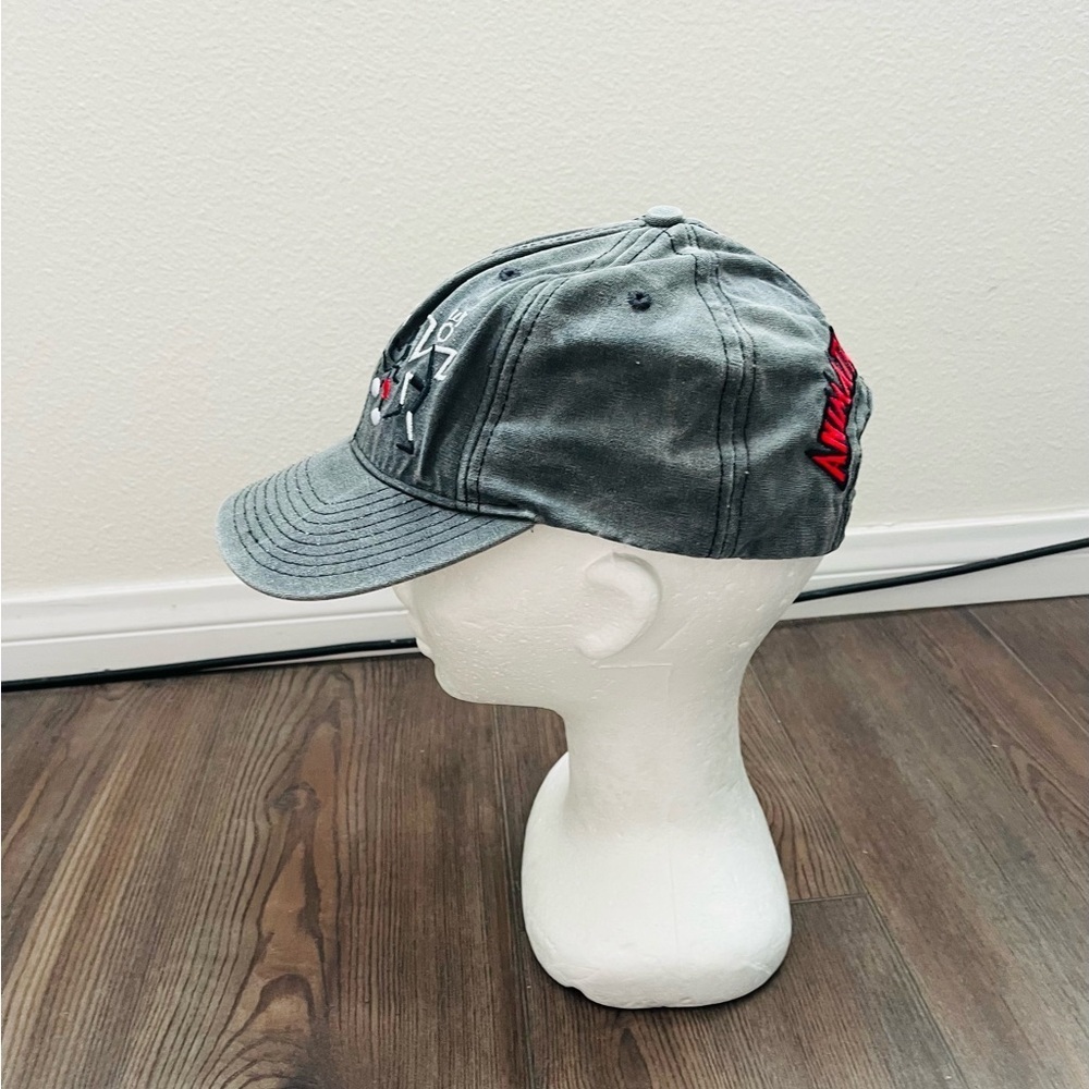 Gray Embroidered Cap - Picture 3 of 9